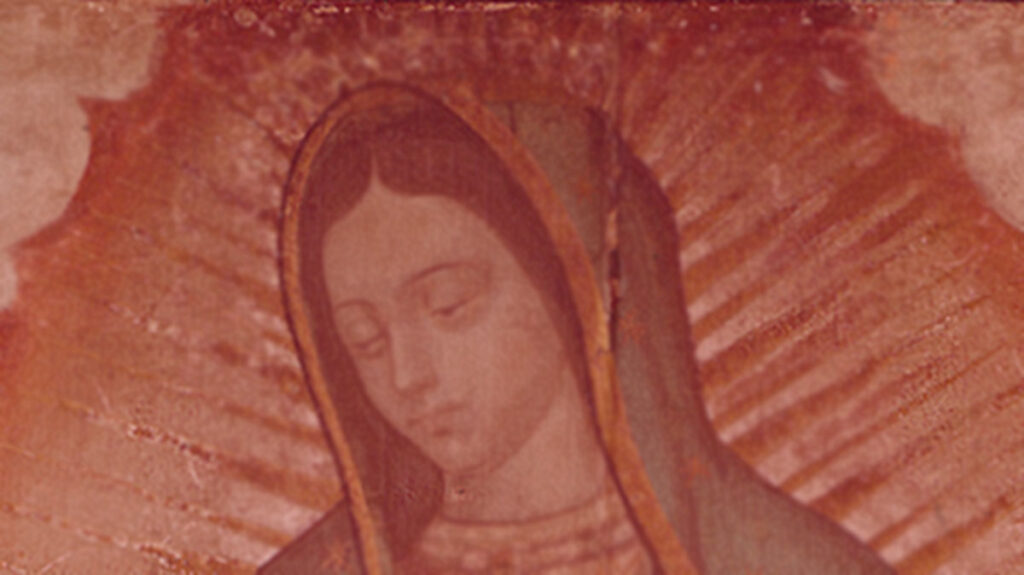 El milagro de la tilma de juan diego un fragmento del rostro